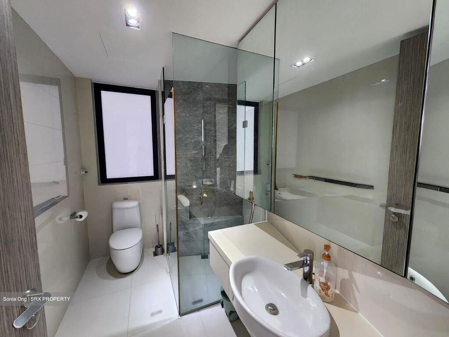 D'Leedon (D10), Condominium #504220591